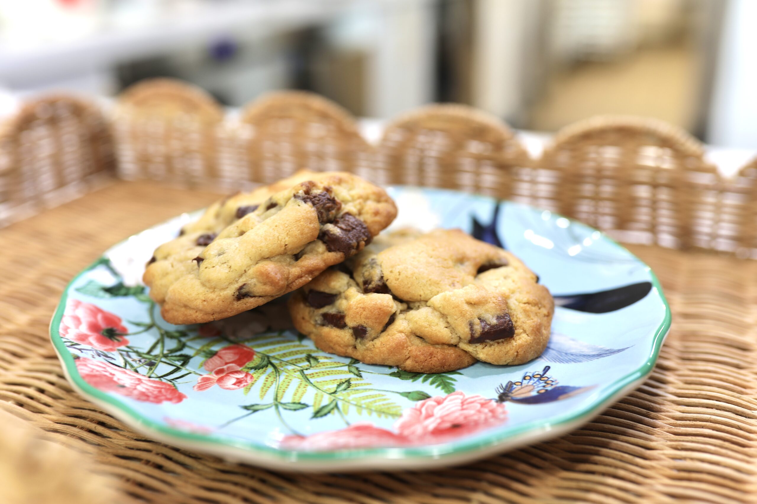 Colorful café menu feature at Rosalía’s Botanical Café